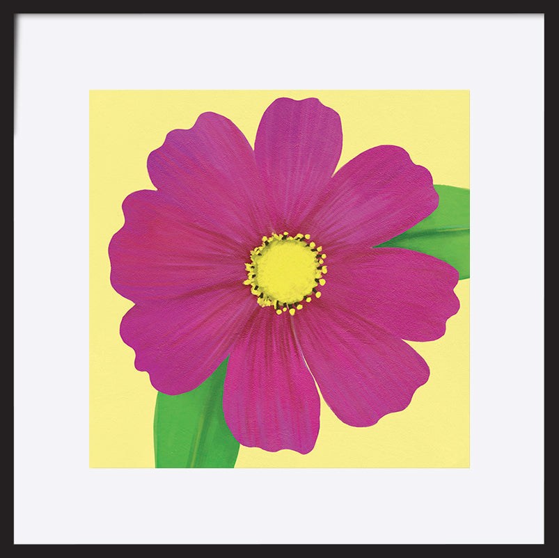 paper_frame