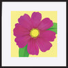 paper_frame
