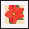 paper_frame