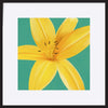paper_frame