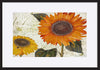 paper_frame