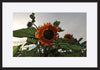 paper_frame