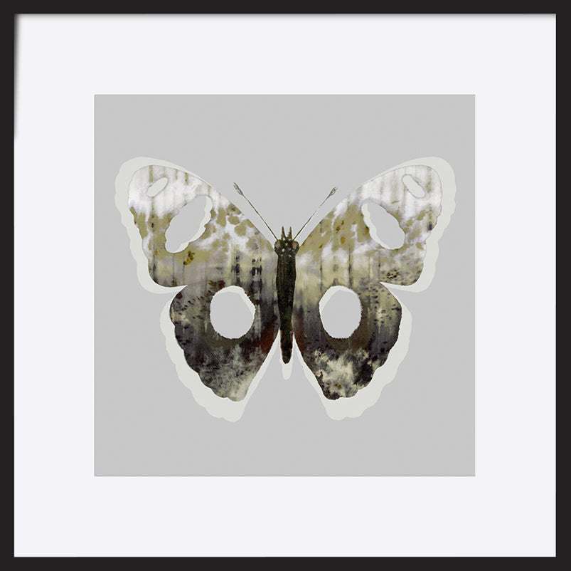 paper_frame