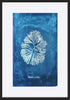 paper_frame