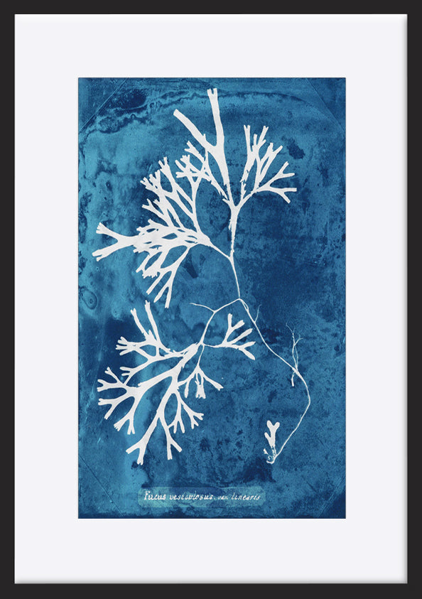paper_frame