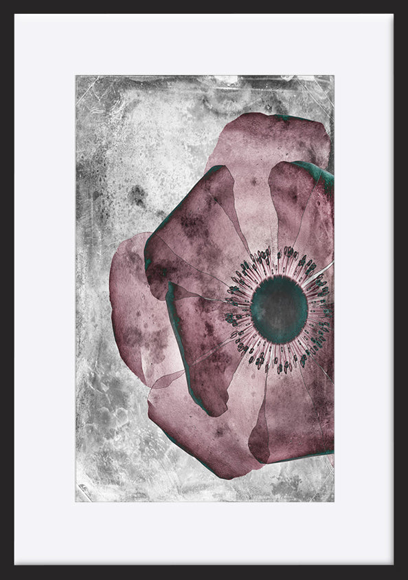 paper_frame