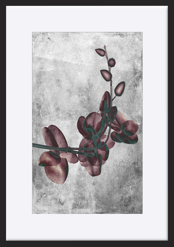 paper_frame