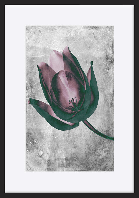 paper_frame