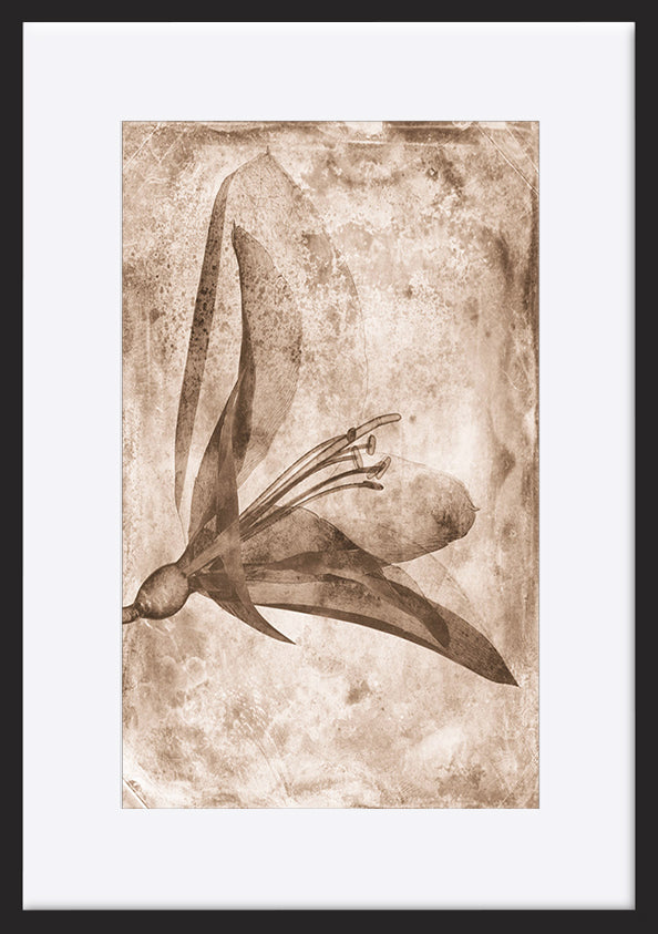 paper_frame