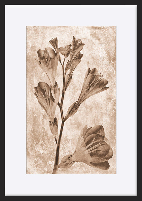 paper_frame