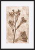 paper_frame