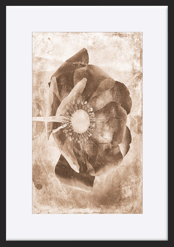 paper_frame