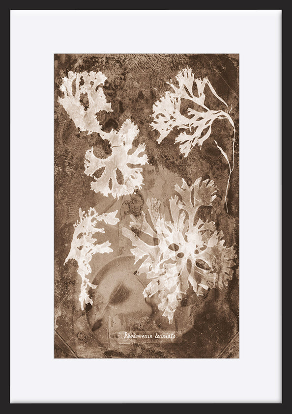 paper_frame