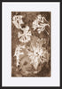 paper_frame