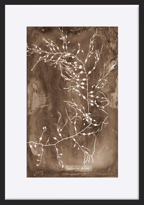 paper_frame