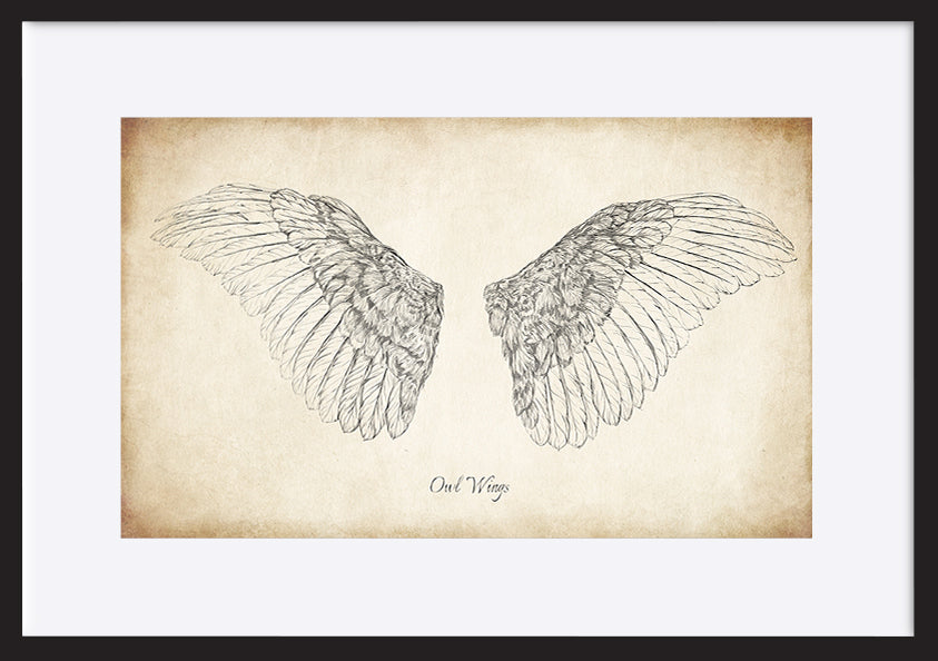 paper_frame