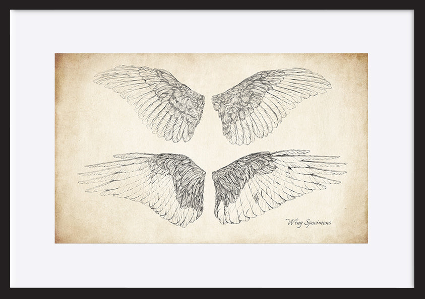 paper_frame