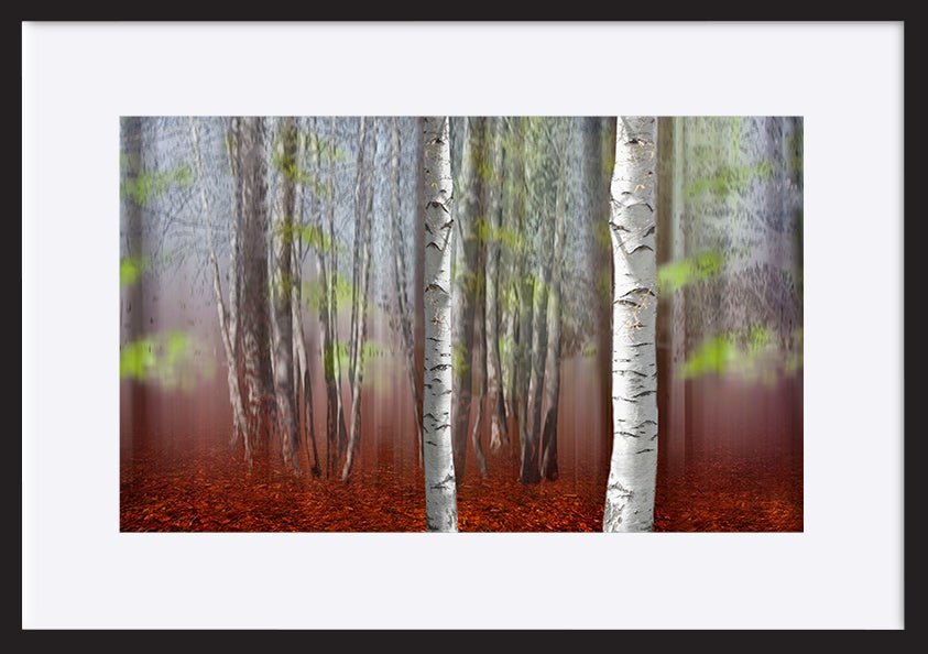 paper_frame