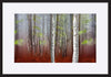 paper_frame