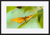 paper_frame