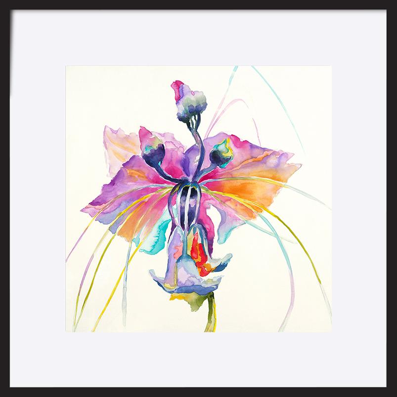 paper_frame