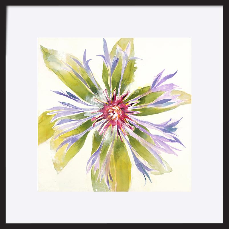 paper_frame