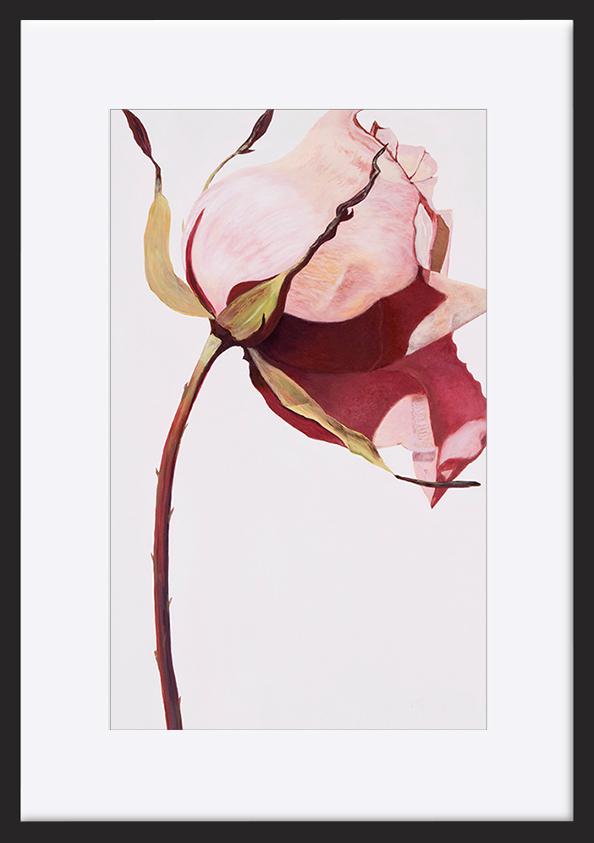 paper_frame