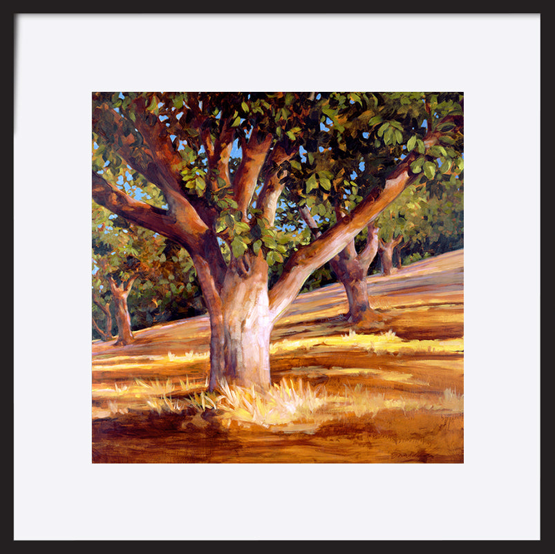 paper_frame