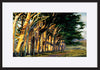 paper_frame