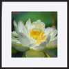 paper_frame