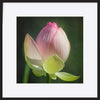 paper_frame