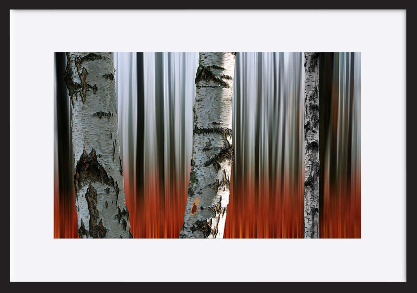 paper_frame