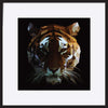 a17493250b tiger illustration - ArtFramed