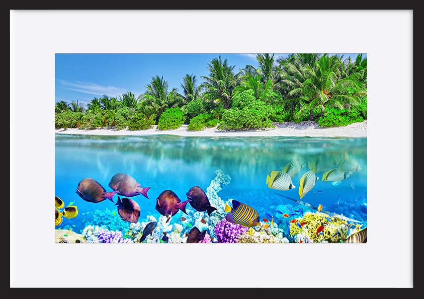 a17842819 Tropical Island And The Underwater World In The Maldives copy. Thoddoo Island - ArtFramed