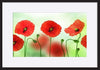 a2563057b Poppies copy - ArtFramed