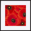 a40879489bred poppies - ArtFramed