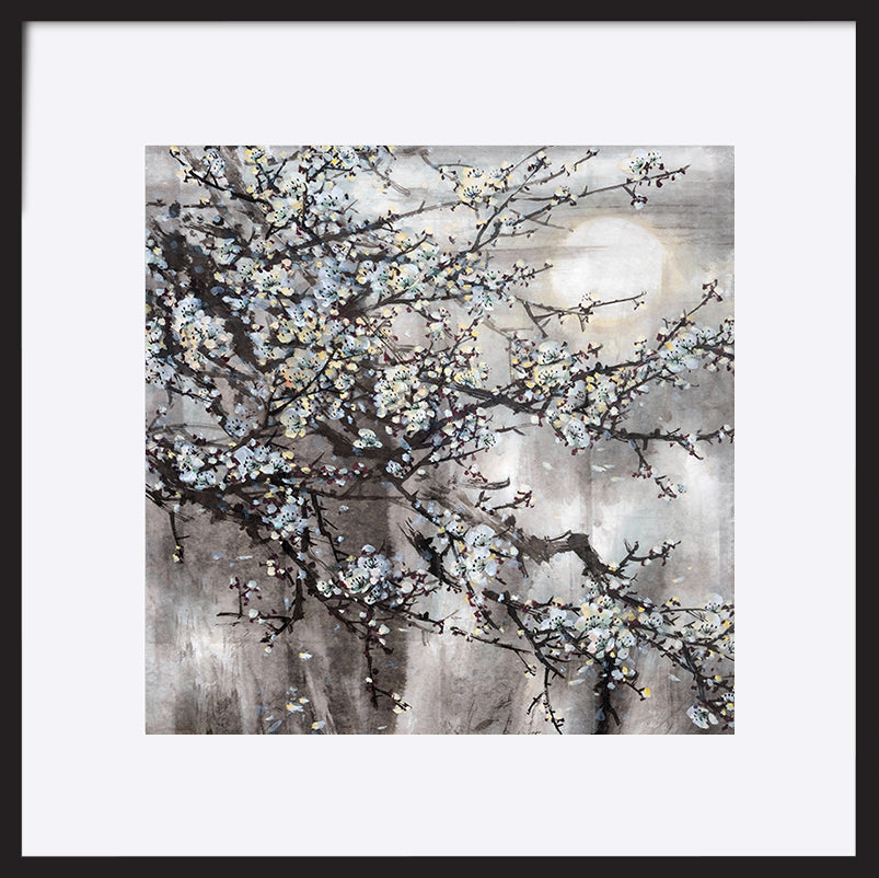 paper_frame
