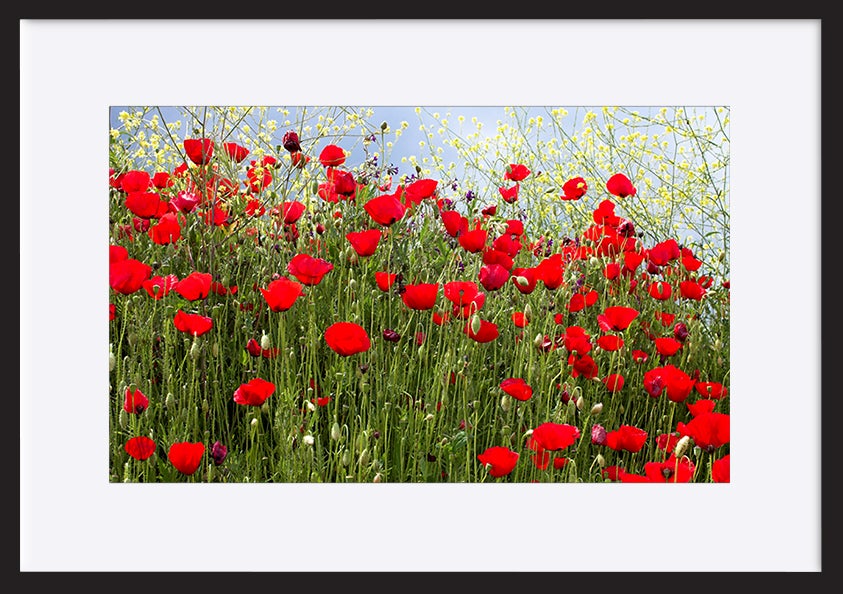 paper_frame
