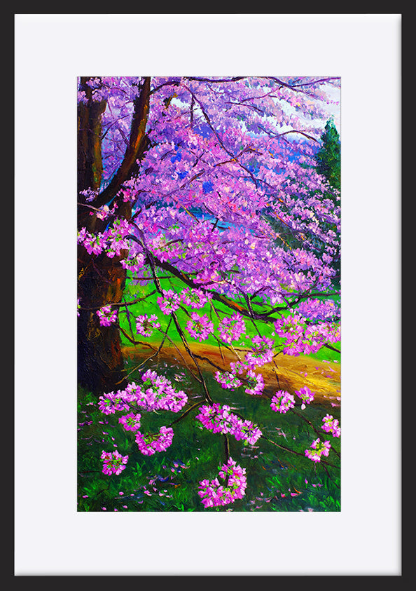 paper_frame