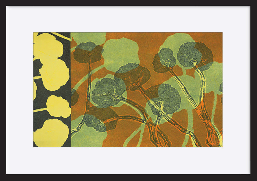 paper_frame