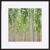 paper_frame