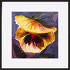 paper_frame