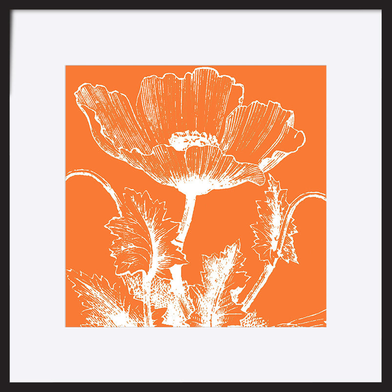 paper_frame