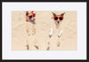 paper_frame