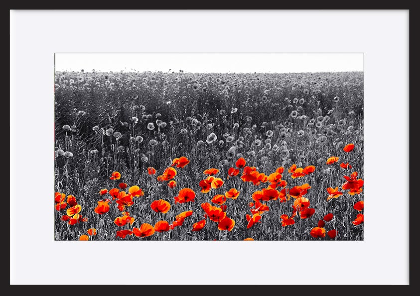 paper_frame