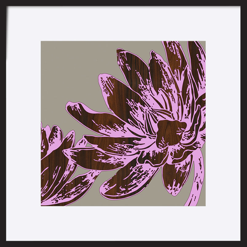 paper_frame