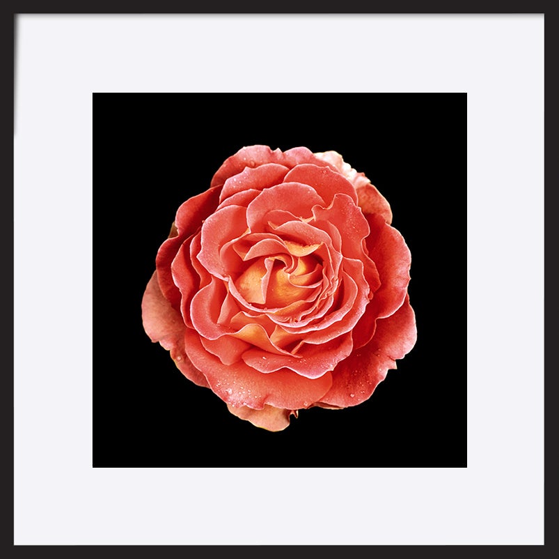 paper_frame