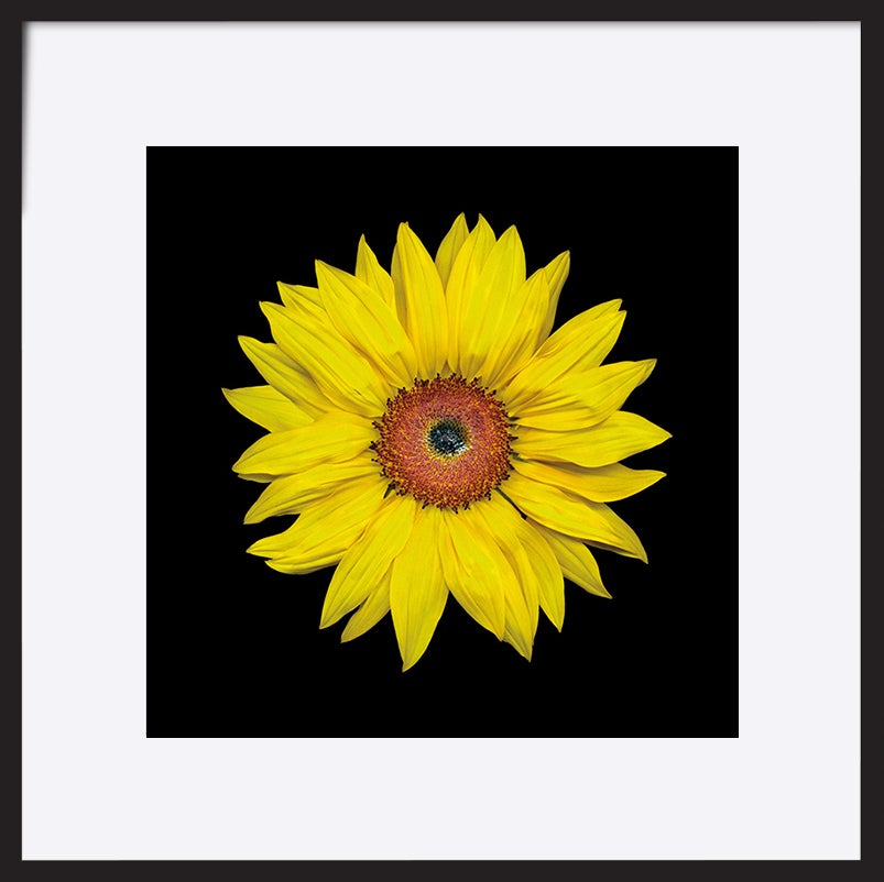 paper_frame