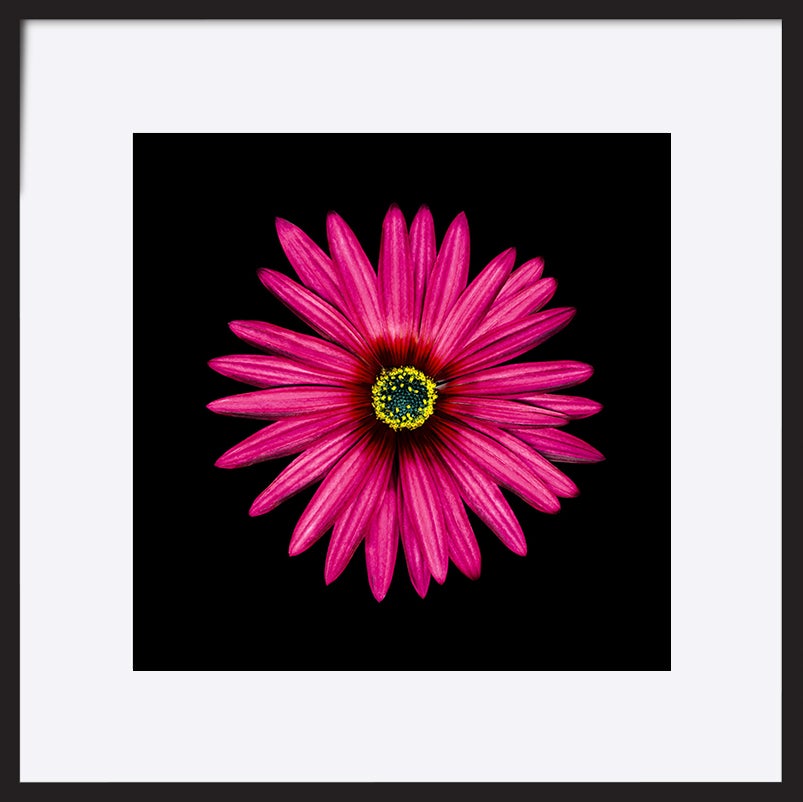 paper_frame