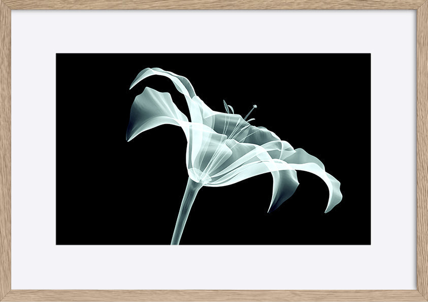 paper_frame